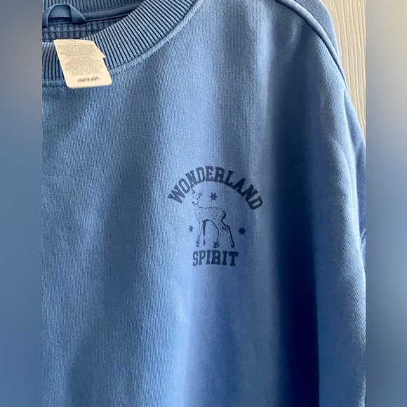 Aerie Women’s Oversized Getaway Sweatshirt Color Vitamin Sea - Picture 11 of 12